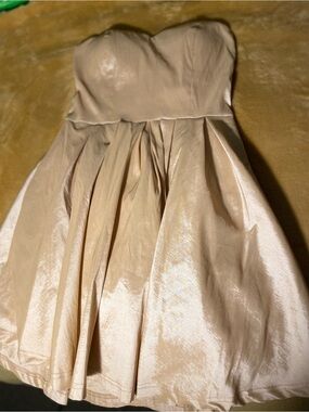 Windsor Champagne Strapless Fit‑and‑Flare Dress